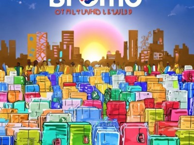 Bromo Importers Limited:eq的活力与机遇